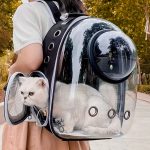 1pc of a Clear, Breathable Backpack for Carrying Cats And Dogs, Featuring a Spacious Design for Outings, This Portable Pet Capsule Is Perfect for Outdoor Use And Makes a Great Gift for Christmas, Halloween, Or Thanksgiving